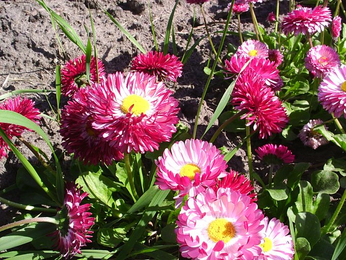 2004-05-21 09-57-04.jpg